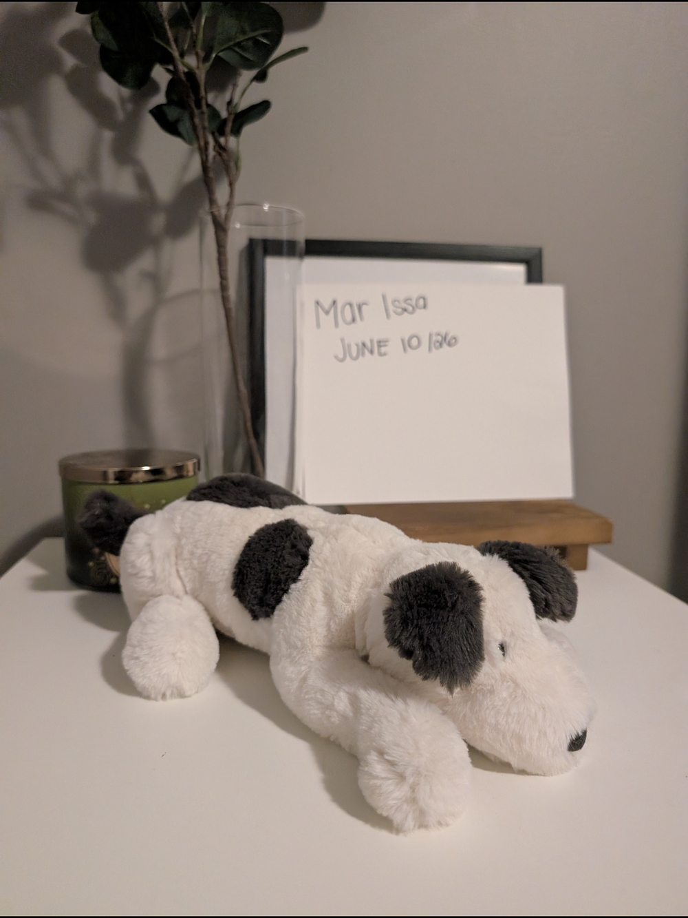 Jellycat Dashing Dog